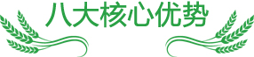 成都暑假夏令营