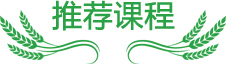 成都军训夏令营