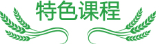成都军旅夏令营
