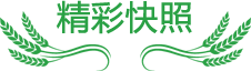 陕西军事夏令营